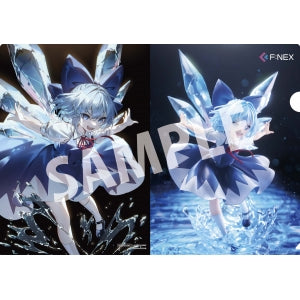 Manufacturer Bonus: A4 Clear File