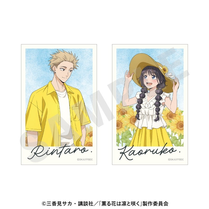 (Goods - Card) TV Anime - The Fragrant Flower Blooms with Dignity Visual Card Set Sunflower Outfit ver.