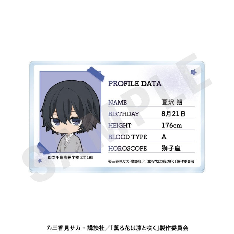 (Goods - Card) TV Anime - The Fragrant Flower Blooms with Dignity ～favorite series～ Profile Acrylic Card (Saku Natsusawa)