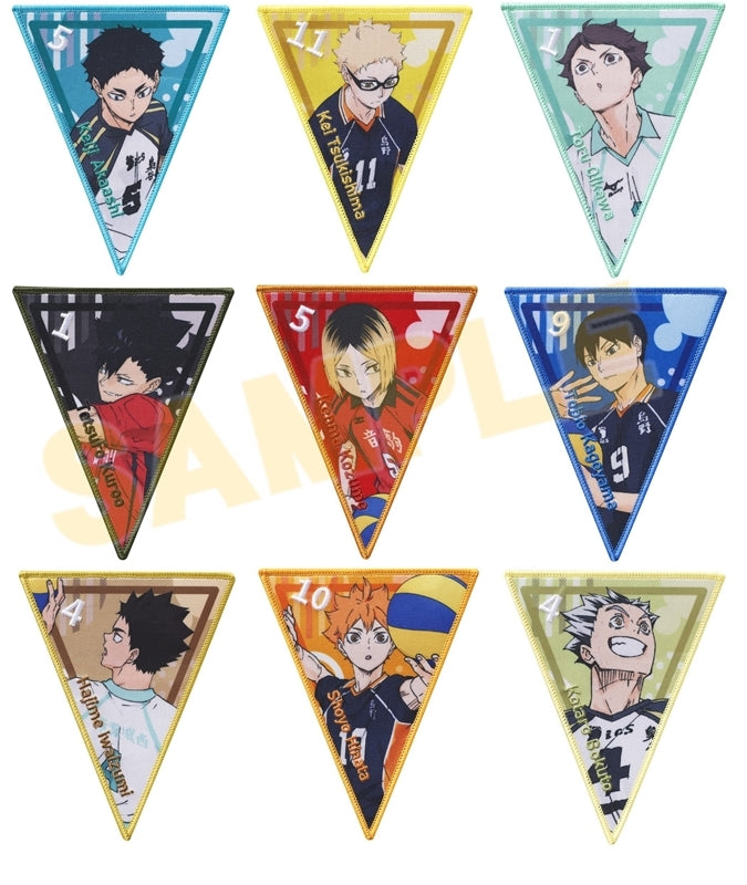 (1BOX=10)(Goods - Other) Haikyu!! Garland Collection