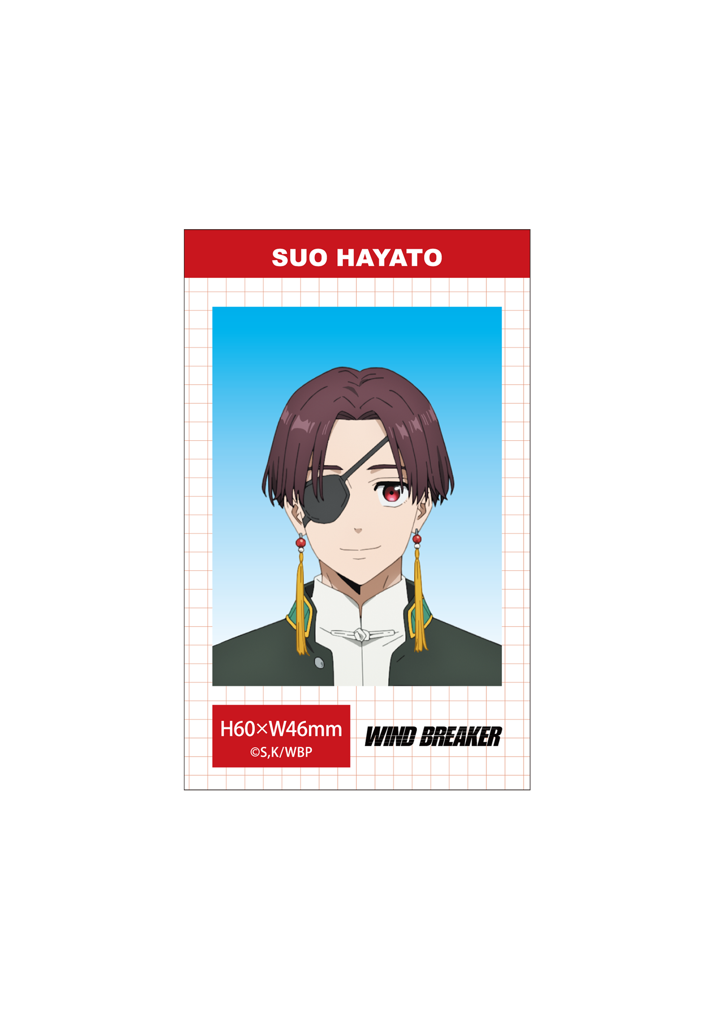 (Goods - Bromide) WIND BREAKER Season 2 ID Card Photo Style Bromide Set (Hayato Suo)