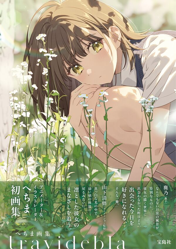 (Book - Art Book) Hechima Art Book travidebla