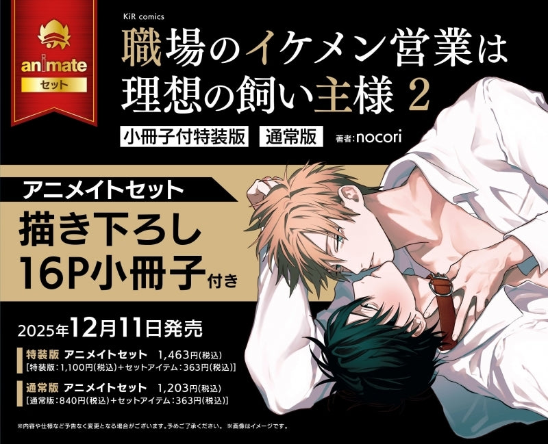(Book - Comic) The Handsome Salesman at Work Is an Ideal Master (Shokuba no Ikemen Eigyou wa Risou no Kainushi-sama) Vol.2 [Special Edition]{animate Bonus:Leaflet}