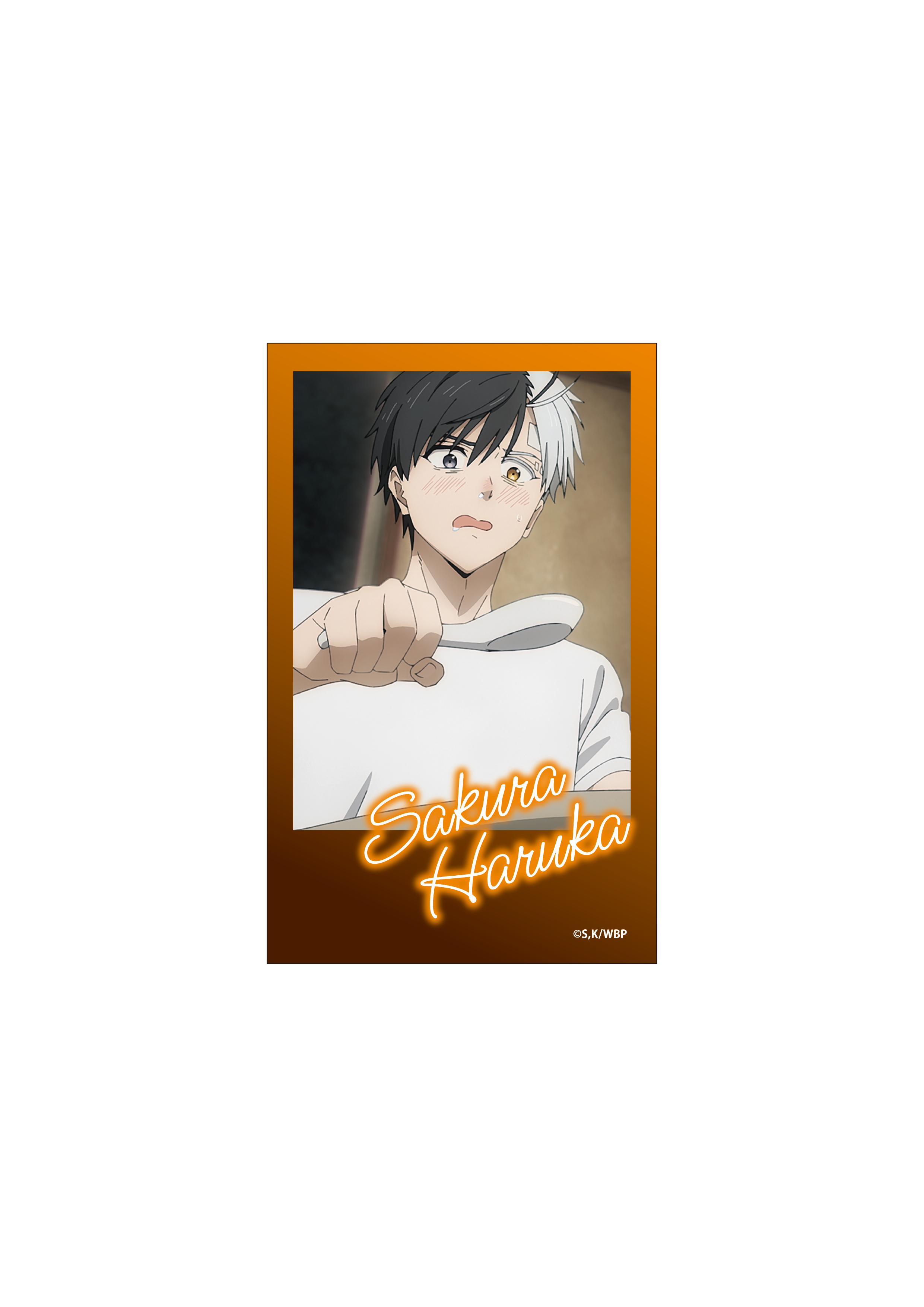[※Blind](Goods - Bromide) WIND BREAKER Instant Photo Style Bromide Collection Vol. 5