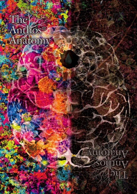 [a](DVD) HANA-Doll* The Anthos* Anatomy [Regular Edition]