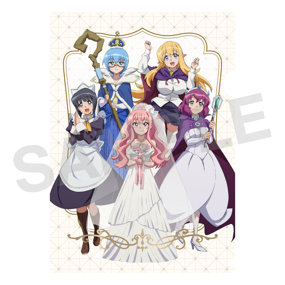 (Goods - Clear File) The Familiar of Zero TV Anime Clear File Set 20th Anniversary Ver.