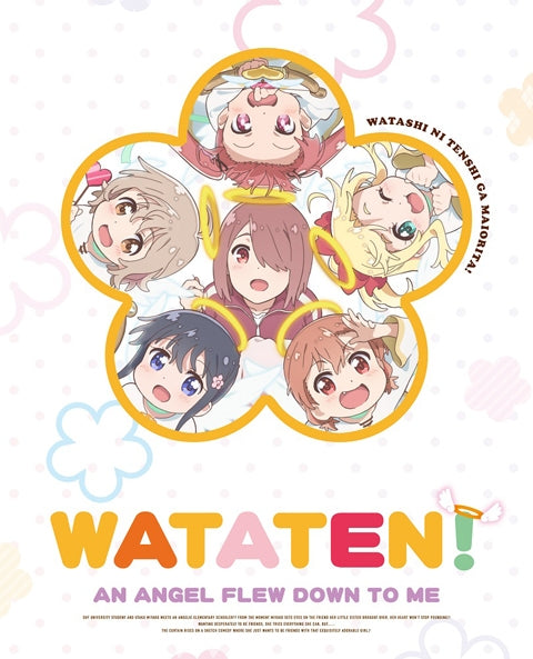 (Blu-ray) Wataten!: An Angel Flew Down to Me TV Series Blu-ray BOX