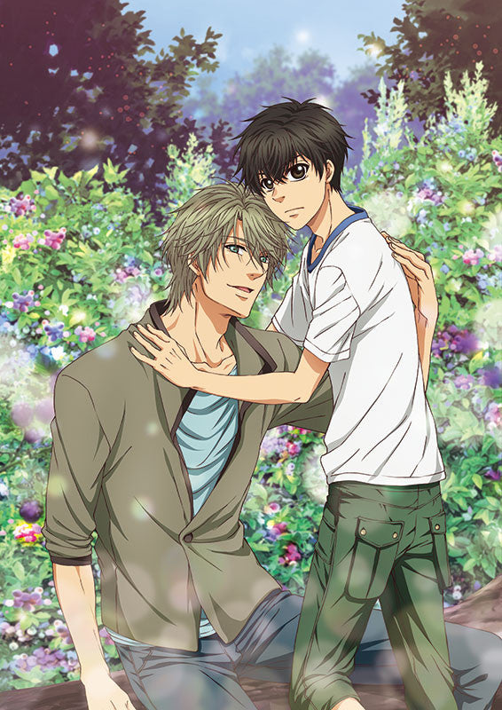 (DVD) SUPER LOVERS 2 Vol.5 [Limited Edition] Animate International