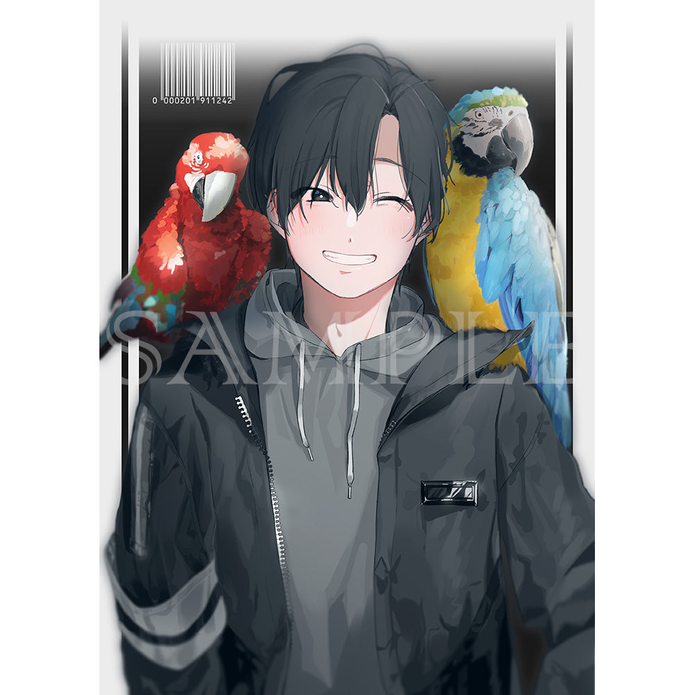 (Goods - High Resolution Print) Boys Gallery Kanta Chara-fine Parrot A4 Size (Signed by the Artist) Animate International