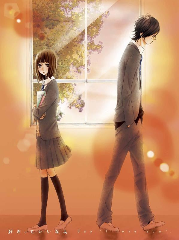 (DVD) Suki-tte Ii na yo. (Say "I love you") TV Series 5 [Limited Pressing] Animate International