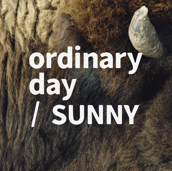 (Maxi Single) ordinary day by tacica [Regular Edition] Animate International