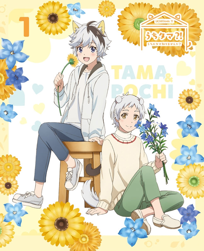 (DVD) Uchitama?!: Have you seen my Tama? TV Series Vol. 1 [Complete Production Run Limited Edition] Animate International