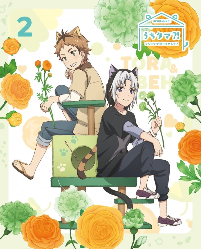 (Blu-ray) Uchitama?!: Have you seen my Tama? TV Series Vol. 2 [Complete Production Run Limited Edition] Animate International
