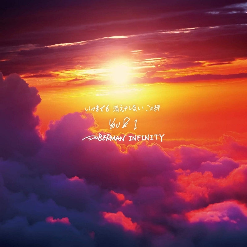 (Theme Song) DTC: Yukemuri Junjou Hen from HiGH & LOW Movie Theme Song: YOU & I by DOBERMAN INFINITY [Regular Edition] Animate International