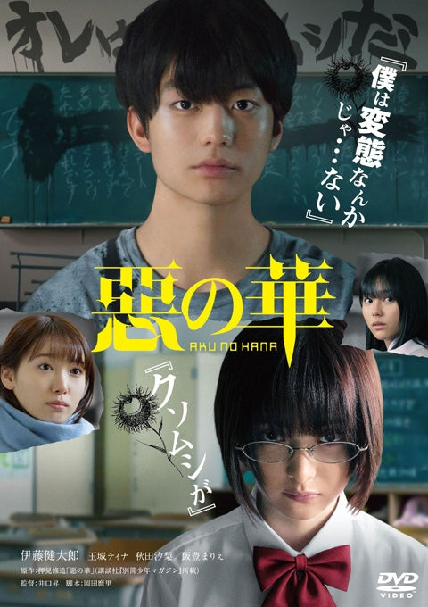 (DVD) The Flowers of Evil (Live Action Film) [Regular Edition] Animate International