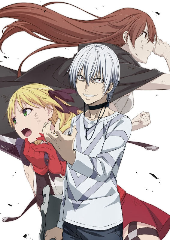 (Blu-ray) A Certain Scientific Accelerator TV Series Vol. 2 [First Run Limited Edition] Animate International