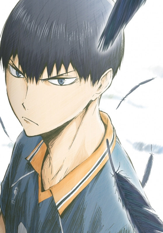 (DVD) Haikyu!! Karasuno High School vs Shiratorizawa Academy TV Series Vol. 5 [First Run Limited Edition] Animate International