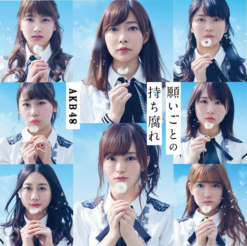 (Maxi Single) AKB48 / Negaigoto no Mochigusare [Type B] [Limited Edition] [CD+DVD] Animate International