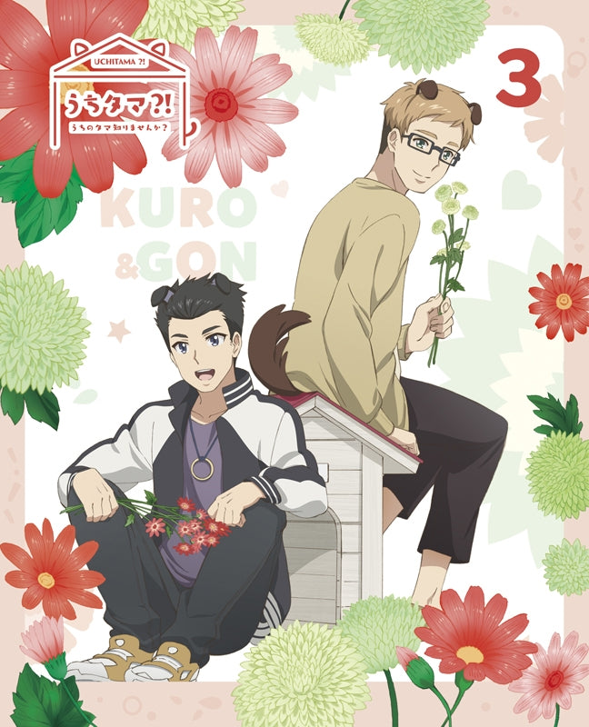 (Blu-ray) Uchitama?!: Have you seen my Tama? TV Series Vol 3 [Complete Production Run Limited Edition] Animate International
