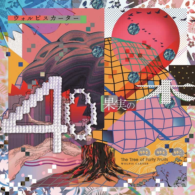 (Album) 40 Kajitsu no Ki by Wolpis Carter [First Run Limited Edition] Animate International