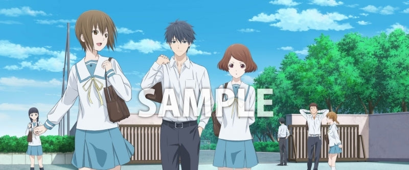 (Blu-ray) Sagrada Reset TV Series Box 4 Animate International